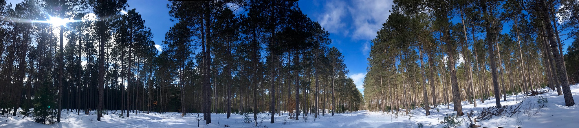 County Forest Winter Pano 1.jpg