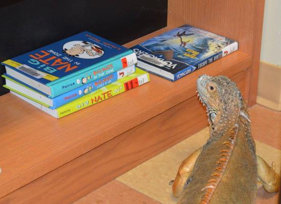 lizard books
