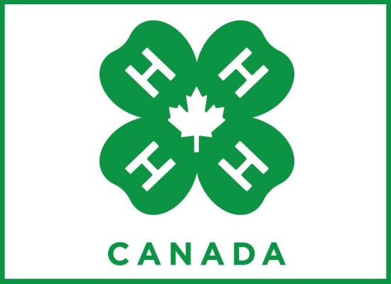 4-H Canada Logo