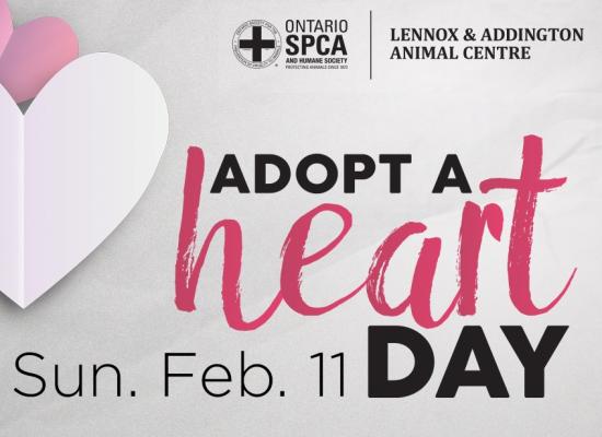 Adopt a Heart Day