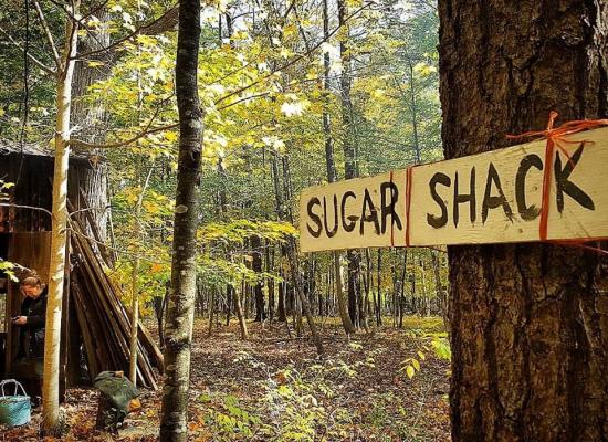Sugar Shack along the Topsy Farms Trail