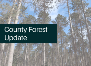 County Forest Update